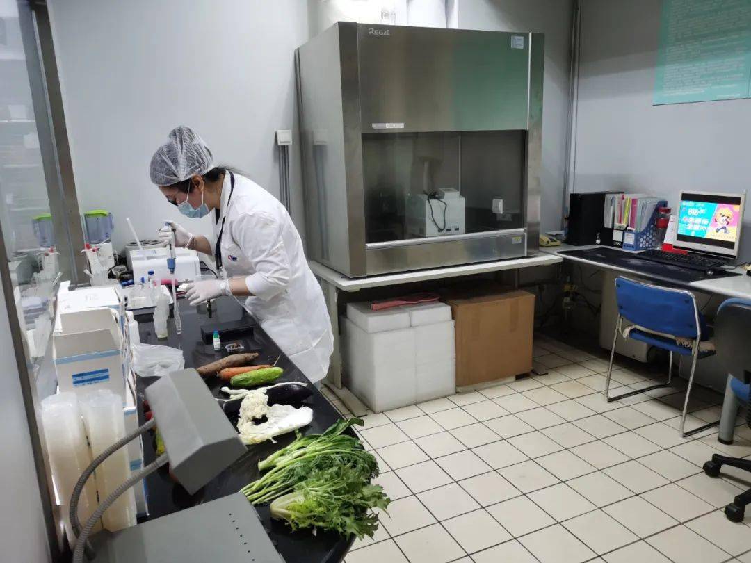 岳阳食品检测实验室装修方案